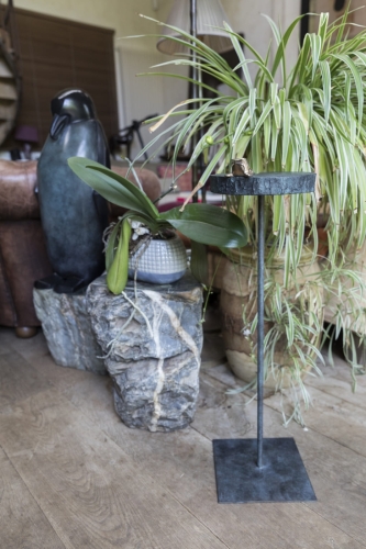 ambiance juin-2024-007